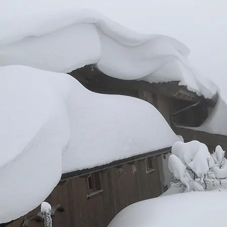 Holz Hotel Ulrichsberg