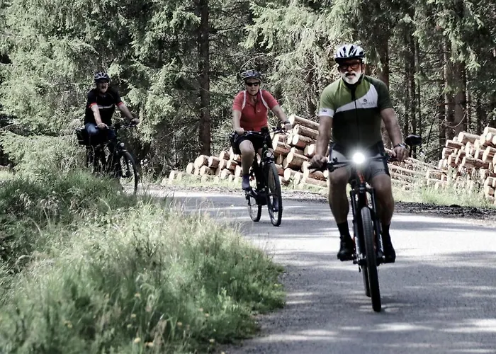 Hotel Holz Ulrichsberg