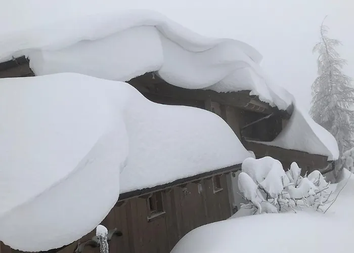 Holz Hotel Ulrichsberg
