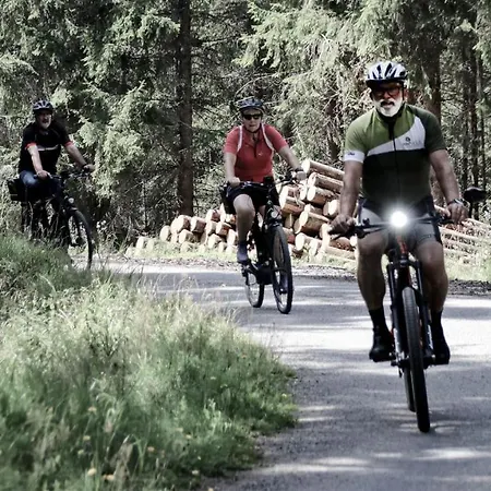 Hotel Holz Ulrichsberg