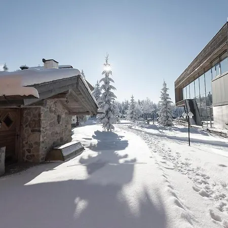 Hotel Holz 4*